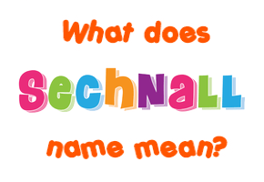 Meaning of Sechnall Name