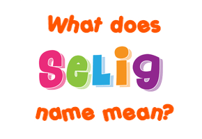 Meaning of Selig Name