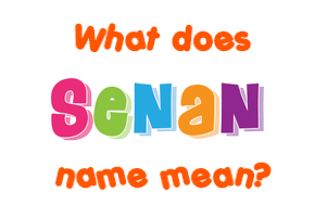 Meaning of Senan Name