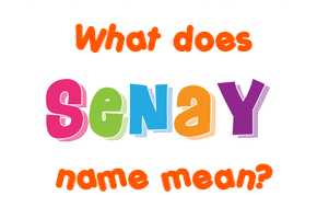 Meaning of Senay Name