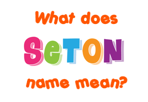 Meaning of Seton Name