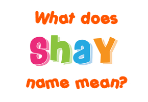 Meaning of Shay Name