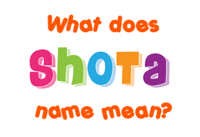 Meaning of Shota Name