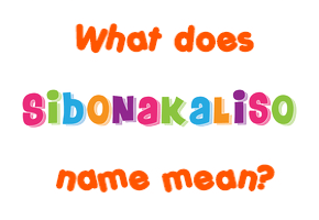 Meaning of Sibonakaliso Name