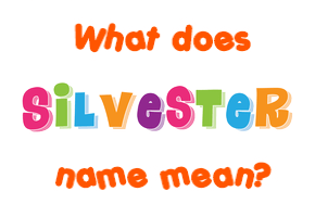 Meaning of Silvester Name