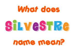 Meaning of Silvestre Name