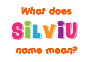 Meaning of Silviu Name