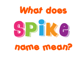 Meaning of Spike Name