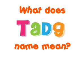 Meaning of Tadg Name