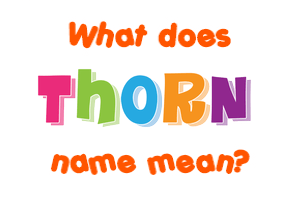 Meaning of Thorn Name