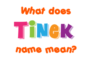 Meaning of Tinek Name