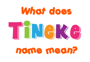 Meaning of Tineke Name