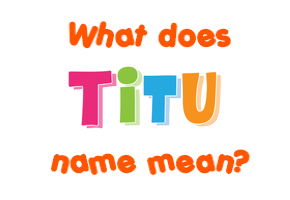 Meaning of Titu Name