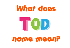 Meaning of Tod Name
