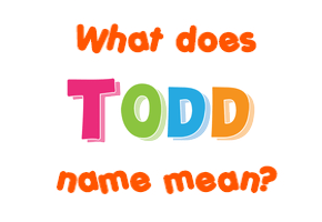 Meaning of Todd Name