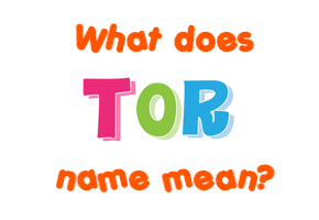 Meaning of Tor Name