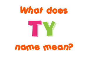 Meaning of Ty Name