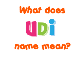 Meaning of Udi Name