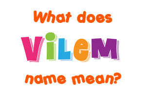 Meaning of Vilem Name