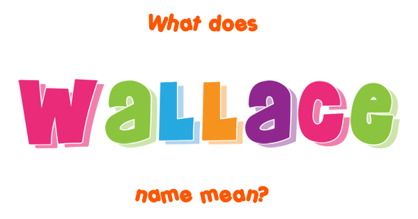 Wallace Meaning