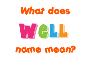 Meaning of Well Name