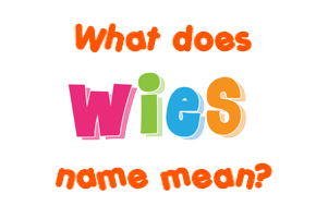 Meaning of Wies Name