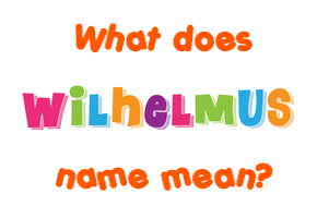 Meaning of Wilhelmus Name