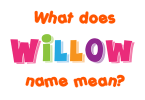 Meaning of Willow Name