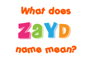 Meaning of Zayd Name