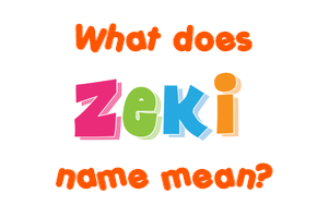 Meaning of Zeki Name