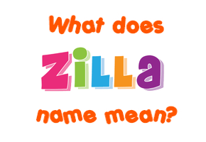 Meaning of Zilla Name