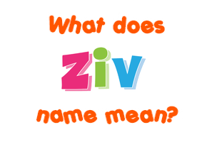 Meaning of Ziv Name