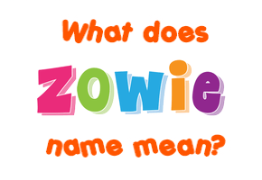 Meaning of Zowie Name