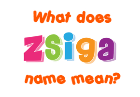 Meaning of Zsiga Name
